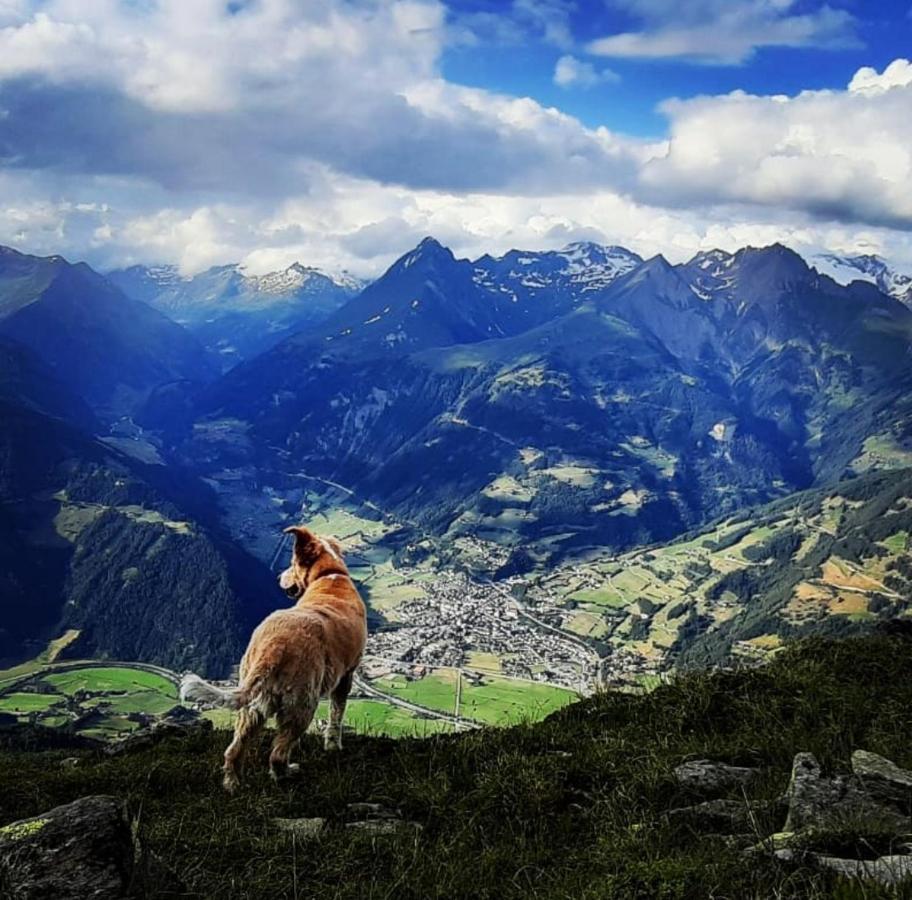 Haus Wibmer Διαμέρισμα Matrei in Osttirol Εξωτερικό φωτογραφία