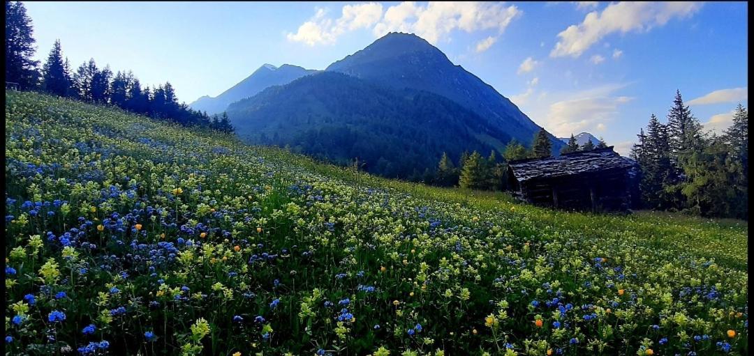 Haus Wibmer Διαμέρισμα Matrei in Osttirol Εξωτερικό φωτογραφία