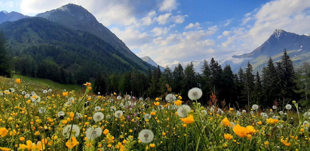 Haus Wibmer Διαμέρισμα Matrei in Osttirol Εξωτερικό φωτογραφία