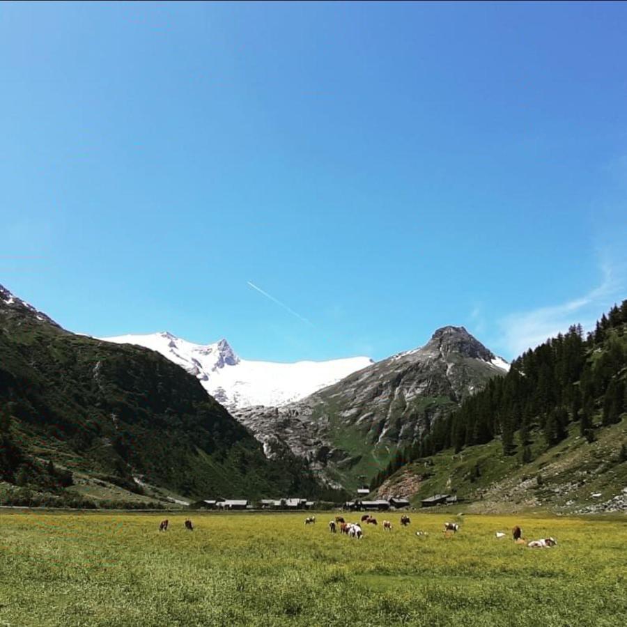 Haus Wibmer Διαμέρισμα Matrei in Osttirol Εξωτερικό φωτογραφία