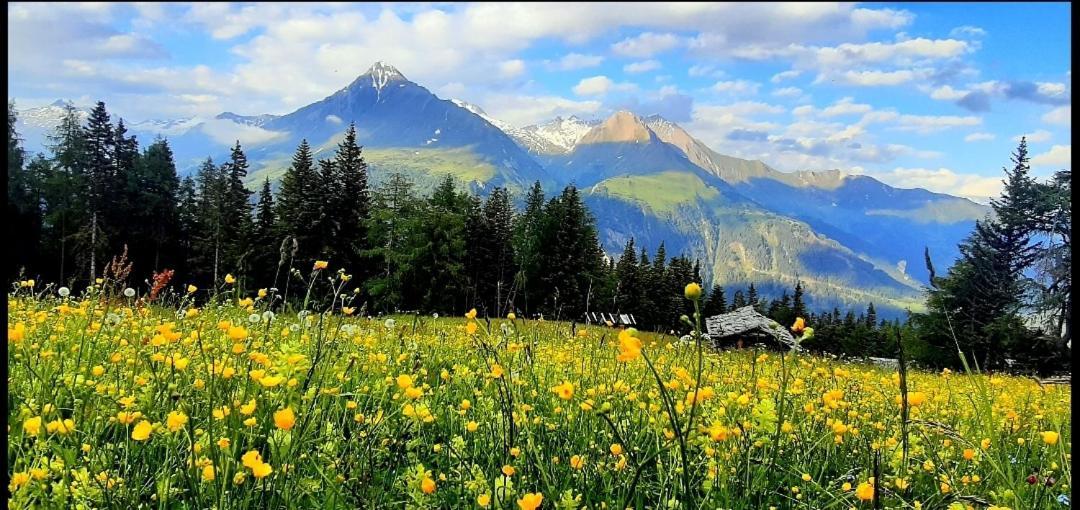 Haus Wibmer Διαμέρισμα Matrei in Osttirol Εξωτερικό φωτογραφία